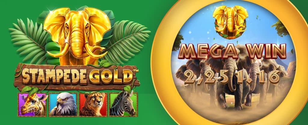 “Stampede Gold” is shown with four wild animal symbols to the left on a green image. To the right, a gold circle surrounds a 2,251.16 mega win. 