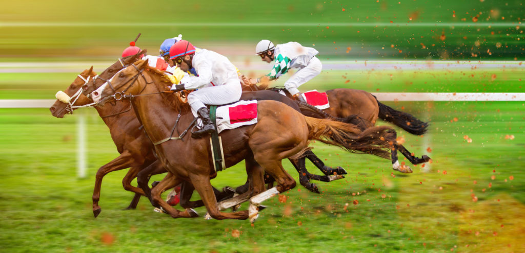 Virtual horses odds and how they work