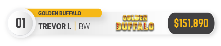 golden bufallo pokie winning amount