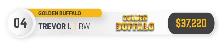 golden buffalo pokies winning amount