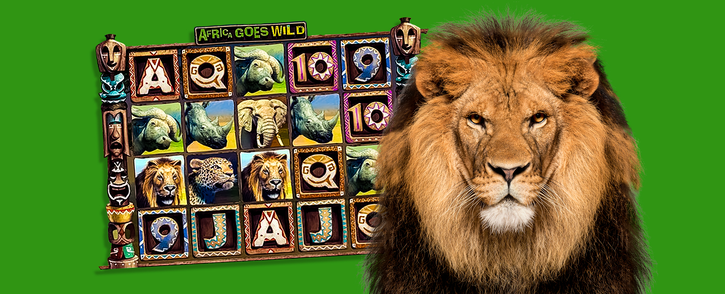 What top features are on offer when you play Africa Goes Wild? Let’s find out.