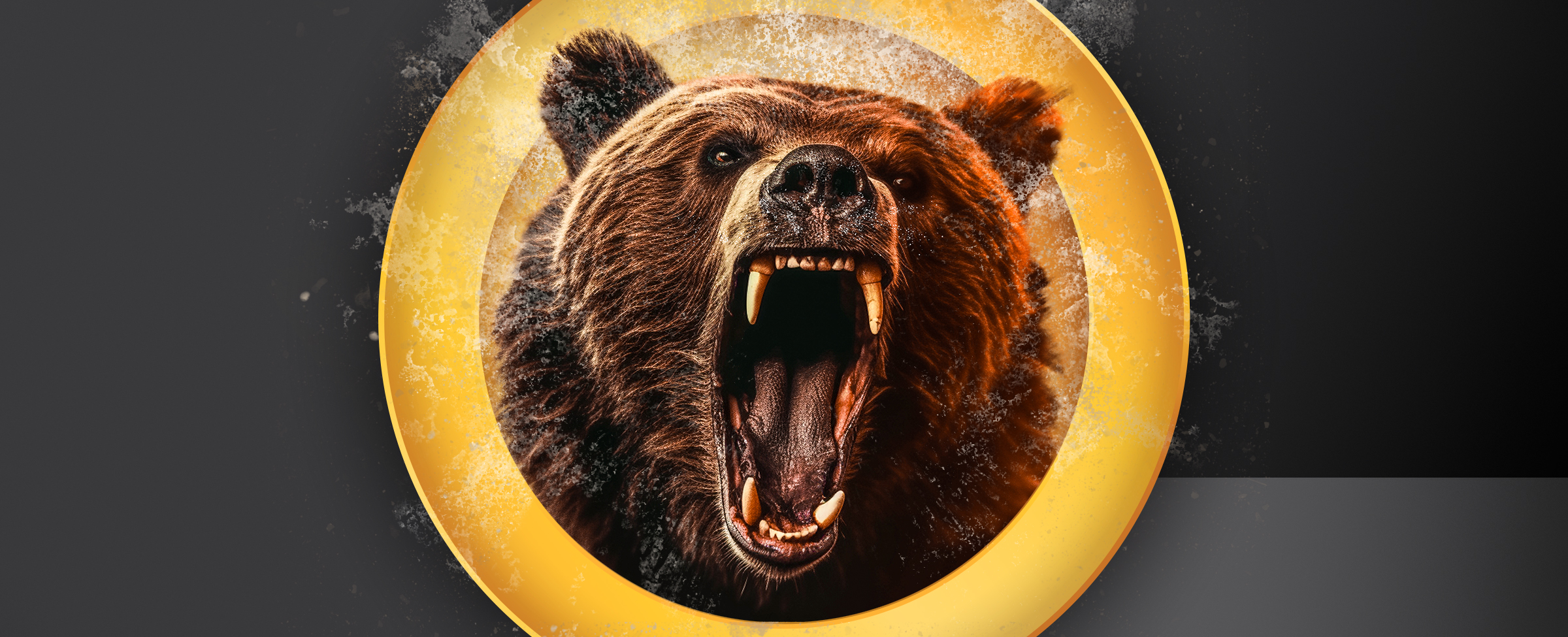 A grizzly bear sticks its head through a yellow portal against a grey background.