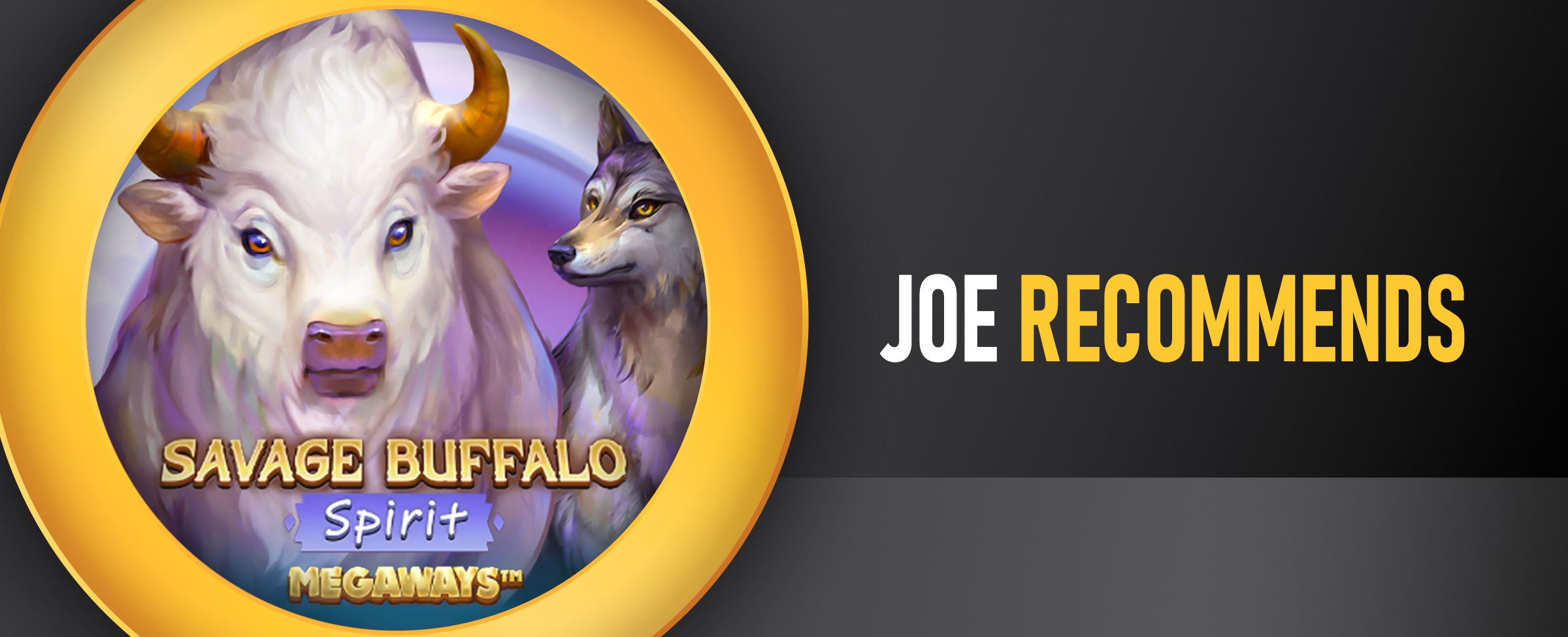 The logo for the Joe Fortune online slot, Savage Buffalo Spirit features alongside the wording ‘Joe Recommends’. On a green background. 
