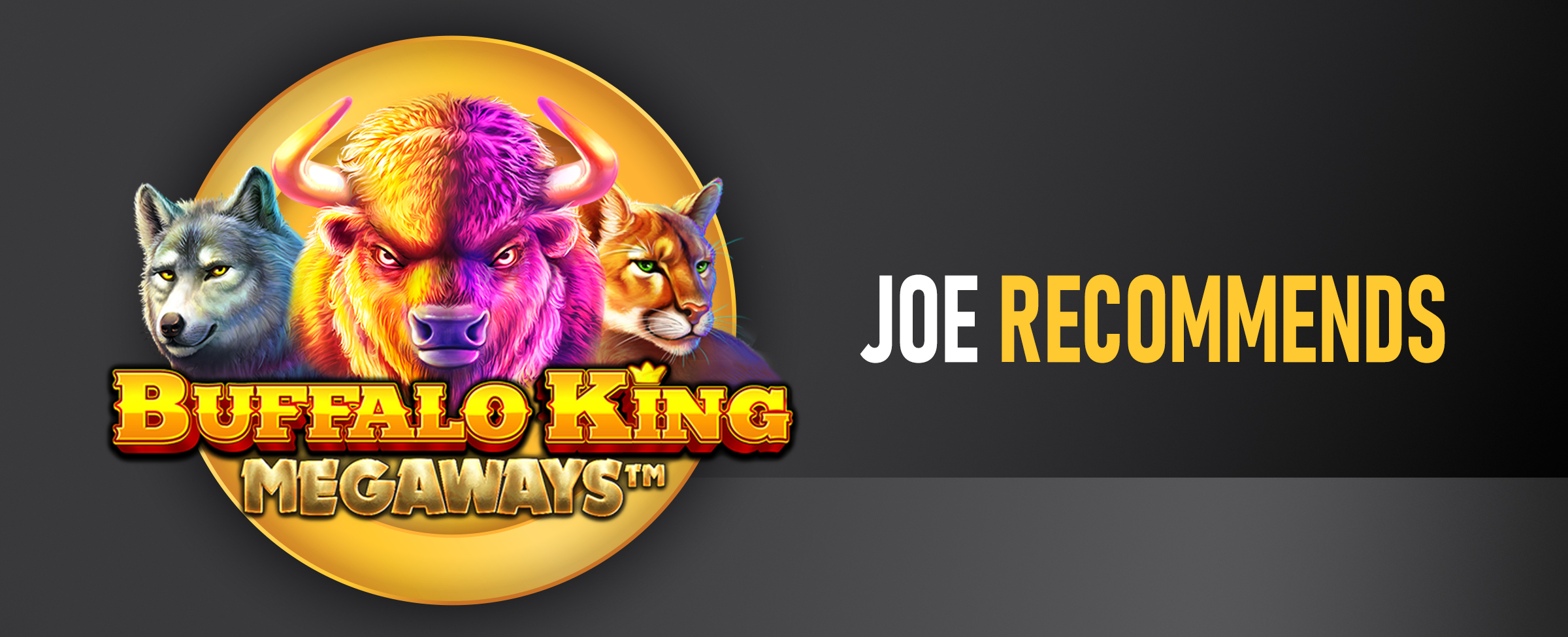 The logo for the Joe Fortune online pokie, Buffalo Kings Megaways, features alongside the wording ‘Joe Recommends’. On a dark background.