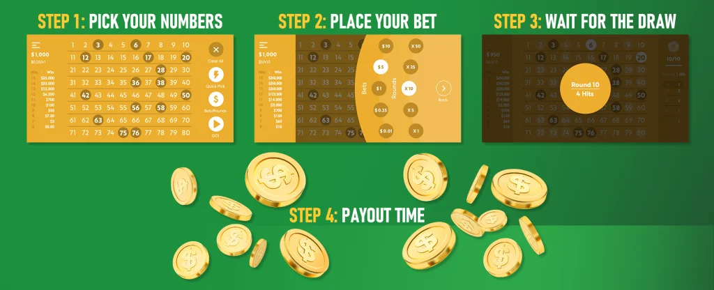 A step-by-step infographic showing how to play Keno. Step 1: Pick your numbers on a digital number board. Step 2: Place your bet with different amounts and rounds. Step 3: Wait for the draw. Step 4: Payout time, illustrated by stacks of golden coins on a green background.