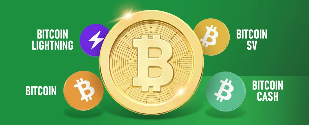 A large gold Bitcoin coin in the center with smaller coins and icons around it labeled Bitcoin Lightning, Bitcoin SV, Bitcoin Cash, and Bitcoin, on a bright green background.