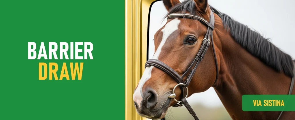 A close up of a brown racehorse with a white stripe on its face wearing a leather bridle. The text on the left reads “Barrier Draw” on a bright green background, and a green banner at the bottom right says “Via Sistina.”